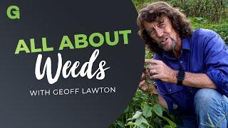 All About Weeds