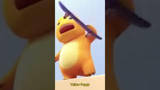 Puppy skating #Yellowpuppy  #enjoyed #foryou #funny #musica #videos