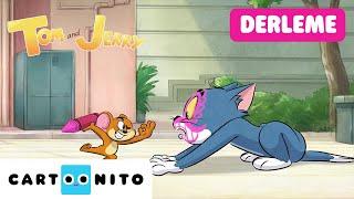 TOM VE JERRY | Nehir Kenarı Maceraları Derlemesi | #YENİ Çizgi Film | @CartoonitoTurkiye