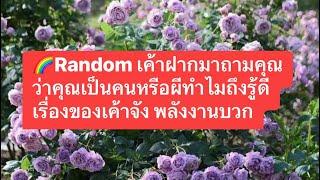 Random เค้าฝากมาถามคุณว่าคุณเป็นคนหรือผีทำไมถึงรู้ดีของเค้าจัง พลังงานบวก#timeless