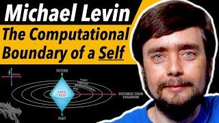 What are Cognitive Light Cones? (Michael Levin Interview)