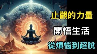 【止觀的力量】開悟生活：從煩惱到超脫 | 止觀修煉的心路歷程 (收藏版) | 禪定與智慧，靜心之道，止觀的藝術  #開悟 #覺醒 #靈性成長