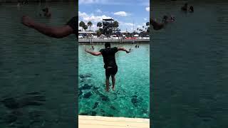 Weeki Wachee Springs State Park | BUCCANEER BAY - FLORIDA SPRINGS PASSPORT