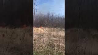 26 03 20 Подільский район с. Водослів . Хтось навмисно підпалює лісосмуги..