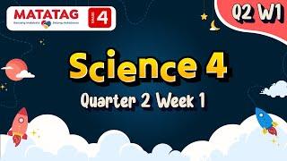 MATATAG Science 4 Quarter 2 Week 1