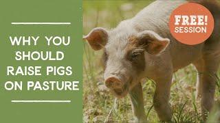 Why You Should Raise Pigs on Pasture: Free Masterclass Session | Joel Salatin's Farm Like a Lunatic