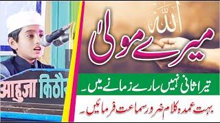 Mere Mola Tera Sani Nahi Sare Zamane Mai | Tuhi Hai Qadir e Mutlaq Sada is Karkhane  | Al Mahmood Tv