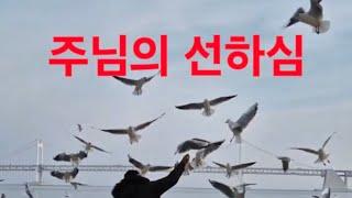 Goodness of God 한국어 ver.(ENG SUBS) 주님의 선하심 / TLMC online 2020 예배실황