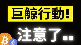 比特幣巨鯨開始行動了! 大量多頭被掃出場..有點刻意了，上一次出現是在49000..! ETH的罕見時刻! #eth