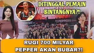 ‼️TIM GAGAL - AI PEPPER AKAN DIJUAL?? #volikorea
