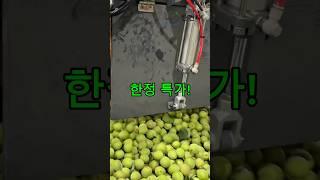 “청매실 담글 준비 되셨나요? 지금 예약하시면 설탕도 드려요!” #매실 #청매실#황매실#매실청 #과일 #농사 #특가세일 #특가