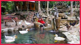 Spreading puzzle stones, flushing and changing pond water for fish. Building farm, free life (ep22)