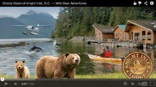 Wild Bear Adventure 2014! Grizzly Bears of Knight Inlet, B.C