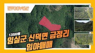 [물건번호348번]임실군 신덕면 금정리 12000평 임야매매 임실부동산