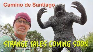 Bizarre Tales of the Camino: Wolves, Mystical Trees, and a Portable Toilet!