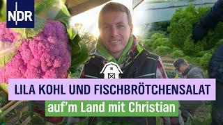 Im Trend: Gärtner Christian produziert Gemüse von der Insel | Folge 1 | NDR auf'm Land mit Christian