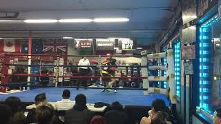 Elvis gonzalez boxing