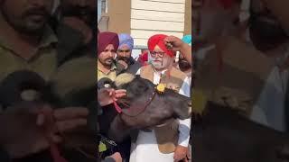 #newpunjabhisong #latestpunjabsong #punjabimusic