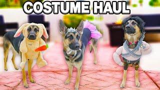 Service Dog Halloween Costume Haul