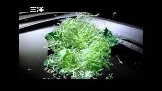 三洋_電冰箱_自然篇