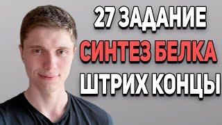 Задачи на синтез белка | Штрих концы и антипараллельность | 28 задание ЕГЭ по биологии