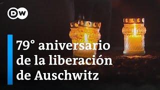 El mundo conmemora el Día Internacional en Memoria de las Víctimas del Holocausto