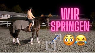 ICH werde SPRINGREITERIN I Vlog