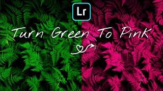 Turn Green Into Pink | In Lightroom In Just 2 Minute