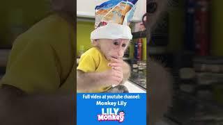 The ending is surprising when Lily tries being a Chef #short #shorts #monkey