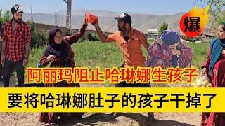 米拉德和哈琳娜最新后续，阿丽玛要阻止哈琳娜生孩子，做出了非常疯狂的事情