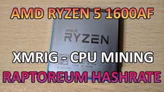 AMD Ryzen 5 1600AF - Raptoreum Hashrate