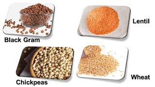 Grains and Cereals Name in English With Pictures,  Grains Name,  Pulses Names , Cereals Name