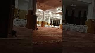 darululoom bilaliya ##viralshorts