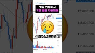 빗썸 전용 업리치! 일주일 사용 수익은?! #비트코인 #자동매매 #코인자동매매 #코인투자 #재테크 #부업  #무료체험