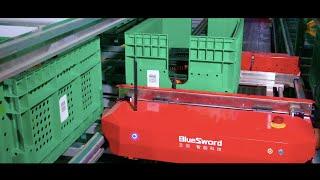 Multi-Shuttle Storage and Retrieval Integrated Goods-to-Person System - BlueSword