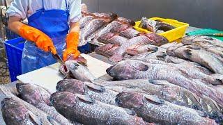 18,00Kg a day!！Amazing Grouper Fish Catch, Grouper Processing Plant - Food Factory