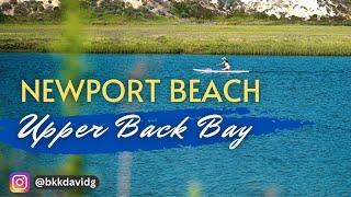 Newport Beach Upper Back Bay - A Nature Lover's Paradise