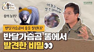 [똥박사 연구소] 반달가슴곰이 숲을 살린다? 반달가슴곰 똥에서 발견한 비밀