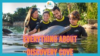 Discovery Cove One Day Resort Dolphin Swim Package