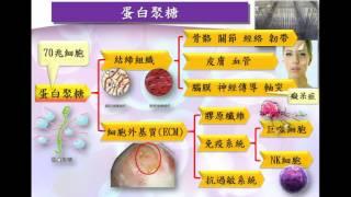 奇蹟成份 天然蛋白聚糖