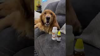Our most favourite skincare products ️ do shop at Goelvetpharma #dog #goldenretriever #puppy