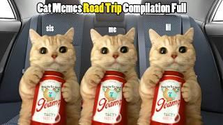 Cat Memes Road Trip Compilation Full 3 HOUR