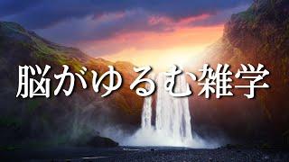 雑学で「睡眠の質」を変えませんか？ | おやすみなさい