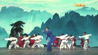 HD The Most Artistic Martial Arts Performance YOUTH of CHINA  少年中國 武術表演