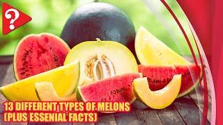 13 Different Types of Melons