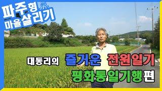 대동리 마을의 즐거운 전원일기[평화통일기행편]