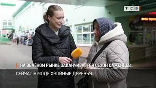 На Зелёном рынке заканчивается сезон саженцев