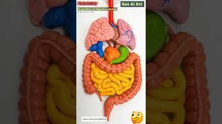 Digestive System Animation | Gut AI Art | 25