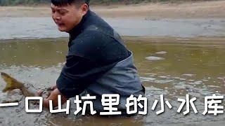 【戶外捕魚vlog】花2800包下一口山坑裏的小水庫，沒想到裏面居然這麽多魚#三農#戶外