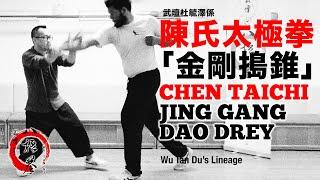 杜毓澤係陳氏太極拳「金剛搗錐」Du’s Chen Style Taijiquan “JingGangDaoDrey”